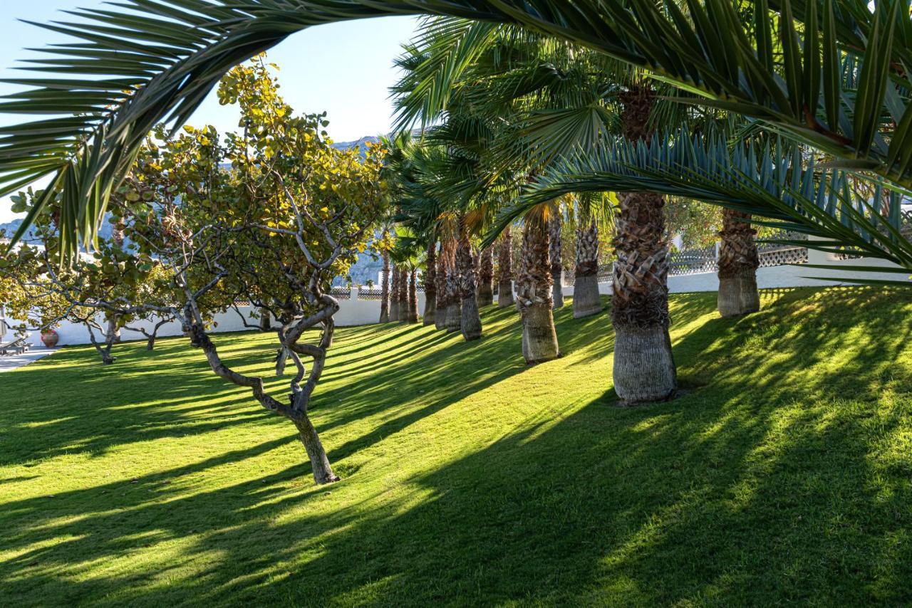 Santorini Kastelli Resort Kamári Dış mekan fotoğraf Palm trees at the park